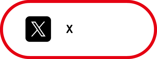 公式X