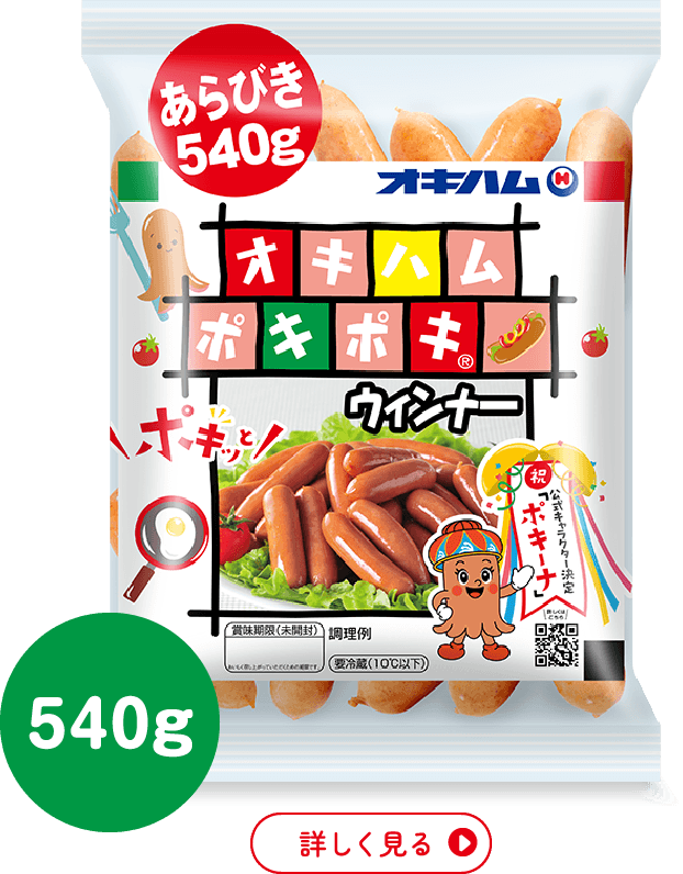 レギュラー（540g）